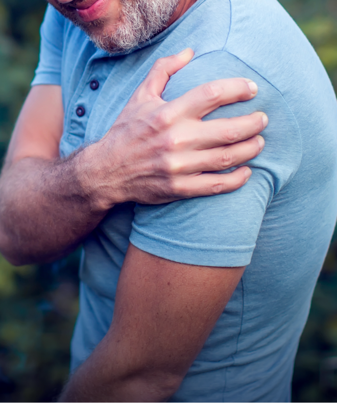 Joint Health Shoulder default